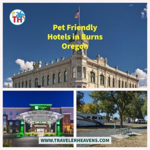 Pet Friendly Hotels, Luxury Hotels, Oregon Travel Guide, pet friendly hotels in Burns Oregon, Santa Cruz, Travel to Burns, Visit Burns